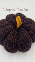 Load image into Gallery viewer, Pumpkin Spice ~ Chocolate